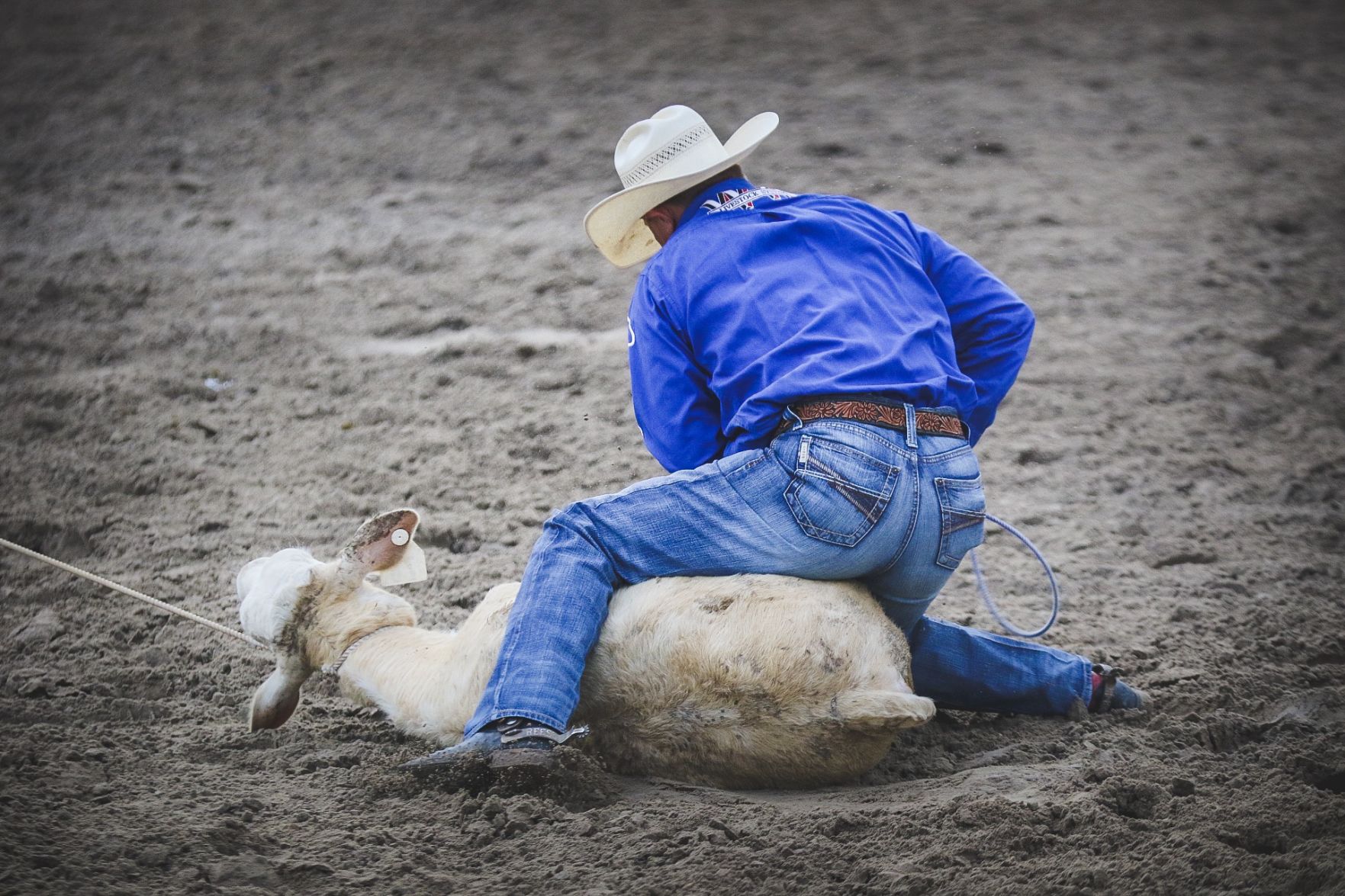 Buffalo Bill Rodeo Night 2 (46).jpg
